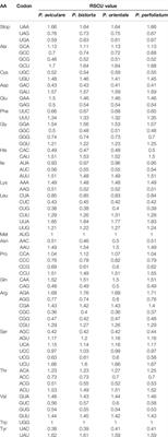 A Comparative Analysis of the Chloroplast Genomes of Four Polygonum Medicinal Plants